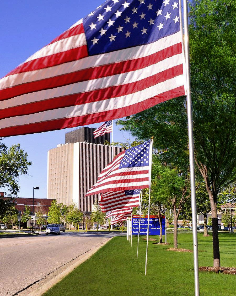 veterans-day-regional-site-hero VA Medical center in the background with US flags lining the road.